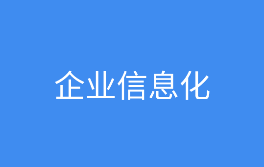 企业信息化
